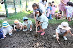 กิจกรรมเกษตร บ้านเด็กเล็ก (๕,๖,๘ ม.ค. ๖๘) Image 2