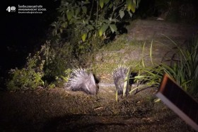 ป.๖ ค่ายธรรมชาติ เขาใหญ่ "ศึกษาธรรมชาติส่องนกตอนเช้า"(๗-๙ ... Image 5