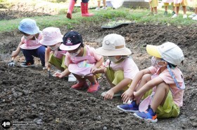 น้องเด็กเล็กปลูกผักสวนครัวในแปลงเกษตร (๒๓,๒๘ ม.ค. ๖๙) Image 4