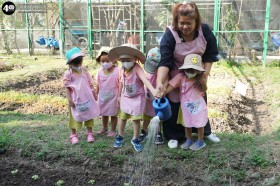 น้องเด็กเล็กปลูกผักสวนครัวในแปลงเกษตร (๒๓,๒๘ ม.ค. ๖๙) Image 5