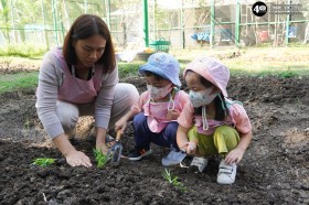 น้องเด็กเล็กปลูกผักสวนครัวในแปลงเกษตร (๒๓,๒๘ ม.ค. ๖๙) Image 6