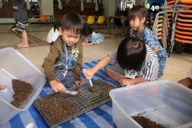 อนุบาล ๑ ปลูกผักสวนครัว (๑๔, ๒๐ ม.ค.๖๙) Image 4