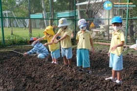 อนุบาล ๒ ปลูกผักสวนครัว (๑๒, ๑๕ ม.ค.๖๙) Image 6