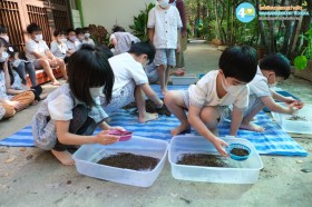 อนุบาล ๓ ปลูกผักสวนครัว (๑๓, ๑๕ ม.ค.๖๙) Image 5