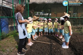 อนุบาล ๓ ปลูกผักสวนครัว (๑๓, ๑๕ ม.ค.๖๙) Image 6