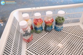 ป.๓ ทัศนศึกษา นาเกลือ จ.สมุทรสงคราม (๕ กุมภาพันธ์ ๒๕๖๙) Image 8