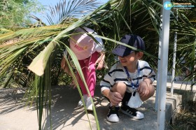 ภาคเรียนฤดูร้อน (Summer) อ.3 เดินทางไกล (จ. 6 เม.ย.69) Image 7