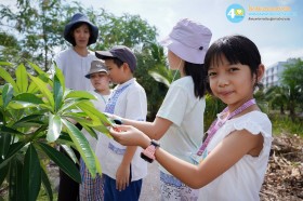 ป.๔ เรียนรู้พืชใบเลี้ยงเดี่ยวใบเลี้ยงคู่ (๒๖ พ.ค.๖๙) Image 7