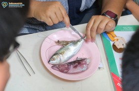 กิจกรรมโครงสร้างภายในของสัตว์ ป.๔ (๒ มิ.ย.๖๙) 🐟🦑🦐 Image 2