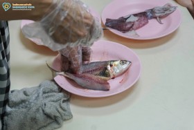 กิจกรรมโครงสร้างภายในของสัตว์ ป.๔ (๒ มิ.ย.๖๙) 🐟🦑🦐 Image 5