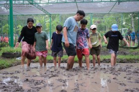 ป.๕ "ย่ำดิน เตรียมกล้า สืบสานวิถีชาวนา" (๑๒ มิ.ย.๖๙) Image 3