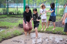ป.๕ "ย่ำดิน เตรียมกล้า สืบสานวิถีชาวนา" (๑๒ มิ.ย.๖๙) Image 5