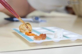 ป.๖ ทดสอบสารอาหาร (๒๔ มิ.ย.๖๙) Image 8