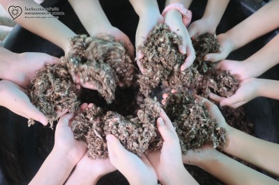 ป.๓ ปลูกเห็ดฟาง (๒๕ มิ.ย.๖๙) Image 1