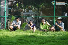 ป.๕ กิจกรรม "ถอนกล้า ปักดำ "วิถีชาวนา...จากแปลงนาสู่ต้นข้าว" Image 1