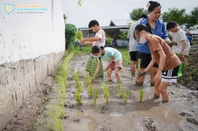 ป.๕ กิจกรรม "ถอนกล้า ปักดำ "วิถีชาวนา...จากแปลงนาสู่ต้นข้าว" Image 6