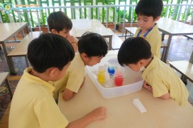 อนุบาล ๓ การเดินทางของสี (๖ ก.ค.๖๙) Image 7