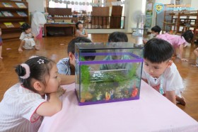 อนุบาล ๒ จัดสภาพแวดล้อมให้กบ (๘ ก.ค.๖๙) Image 7