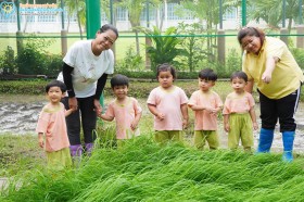 น้องเด็กเล็กถอนกล้าข้าว ย่ำดิน และปลูกข้าว (๒๒-๒๓ ก.ค. ๖๙) Image 2