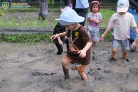 อนุบาล ๑ ถอนกล้า ย่ำดินและดำนา (๒๒-๒๓ ก.ค.๖๙) Image 6