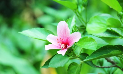 สวนเกษตร Image 1