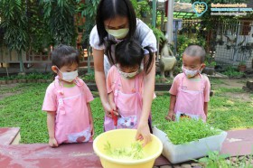 กิจกรรมเกษตรบ้านเด็กเล็ก (เก็บต้นอ่อนผักบุ้ง) 28 ม.ค.65 Image 2